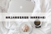 微博上的黑客是真是假（微博黑客大佬）「微博 黑客」
